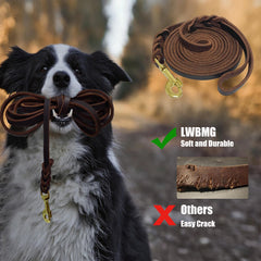 LWBMG soft, comfortable leash provides gentle grip during training