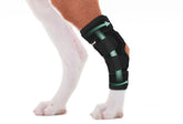 Lyderpet dog leg brace worn on hind leg for secure back-leg support during daily activity.