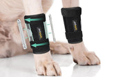 Lyderpet front leg brace worn on a dog, providing stable support for active joints.