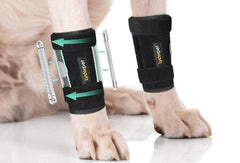 Lyderpet front leg brace worn on a dog, providing stable support for active joints.