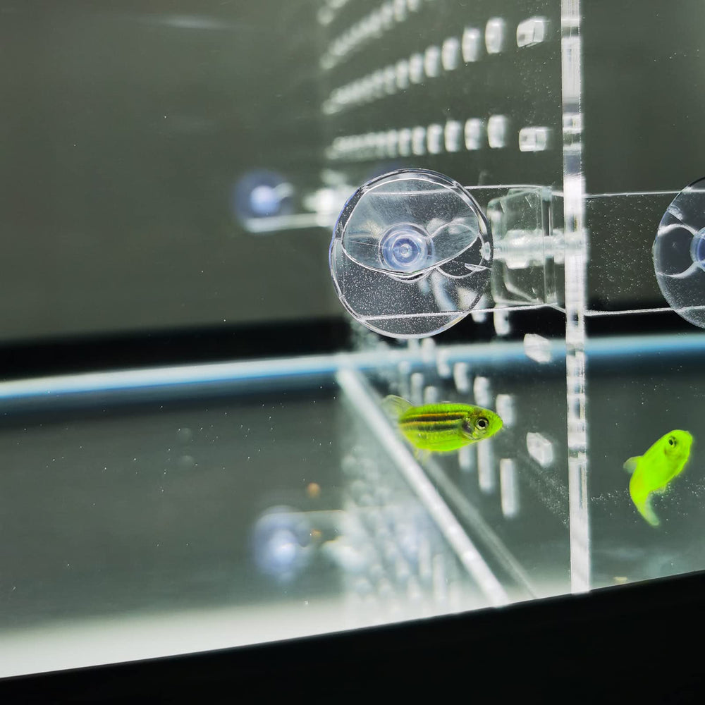 LYL LEYOULAND aquarium divider clear panel for 10-gallon tanks, enhances viewing and zoning.