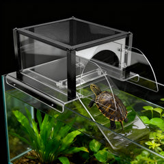 LYL LEYOULAND Turtle Topper acrylic-metal platform allows light through and flexible placement.
