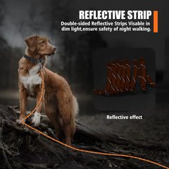 Lynxking rope leash braided nylon for durability.