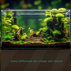 LYPHARD AQUARIUMS driftwood 6-10inch pieces shown for versatile layouts