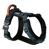 MADE TO ROAM Explorer Harness Colorado Nightsky side view for comfortable daily walks.