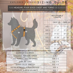 MADE TO ROAM Explorer Harness durable nylon straps for long adventures.