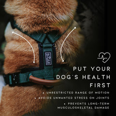 Made to Roam Explorer Harness Y-shape enables natural shoulder movement