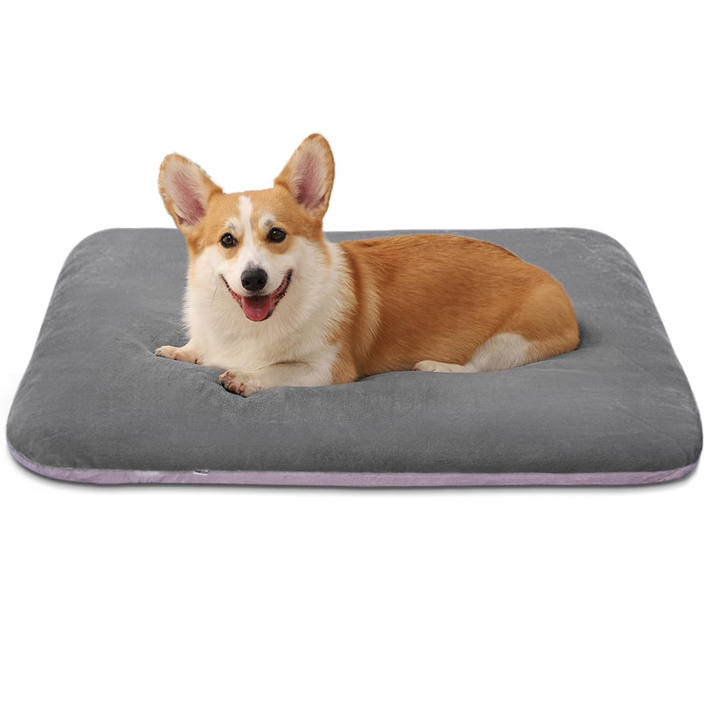 Magic Dog bed top view shows plush surface for cozy lounging