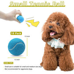 Magicorange 1.5-inch dog tennis ball yellow for quick sight-catching play.