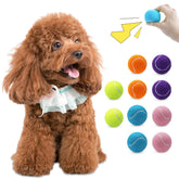 Magicorange 10-pack squeaky mini tennis balls for dogs, ideal for interactive play.
