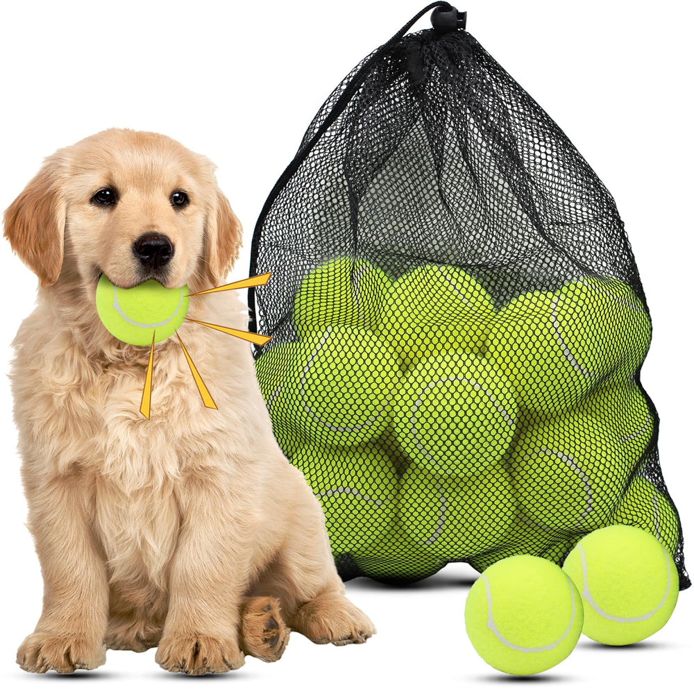 Magicorange dog tennis ball 2.5-inch floatable squeaker for engaging fetch play.