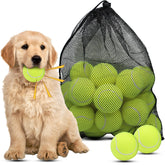Magicorange dog tennis ball 2.5-inch floatable squeaker for engaging fetch play.