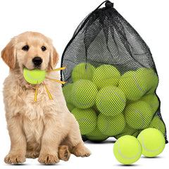 Magicorange dog tennis ball 2.5-inch floatable squeaker for engaging fetch play.