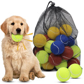 Magicorange 20-pack of 2.5-inch dog tennis balls ready for fetch
