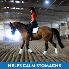 MagnaGard daily use image showing colic prevention support for horses.