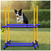 Maicobi dog agility hurdle with blue-yellow design for energetic outdoor training.