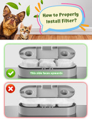 MAILOFY stainless steel dog fountain is durable and quick to clean.