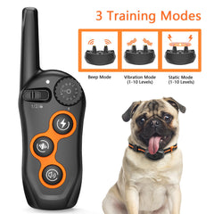 MAISOIE dog collar probes removal; flexible wear with or without shock.