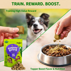 Major Pets treats on a training session demonstrating high value reward during practice