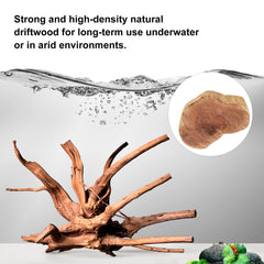 majoywoo spider wood branch variety supports moss trees and decorative layouts