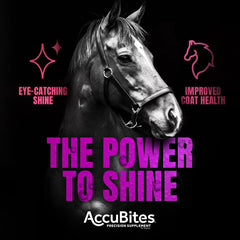 Close-up of AccuBites Radiance promoting a shiny coat and vitality in a horse.