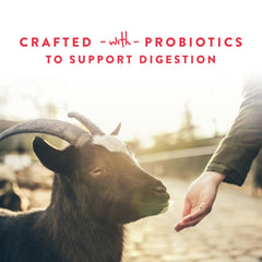 Sheep and goats can share the Manna Pro Apple Probiotic Goat Treat in pasture.