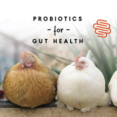 Manna Pro probiotics label emphasizes digestive health support.