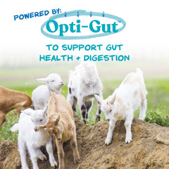 Manna Pro Nurse All Milk Replacer promotes puppy and kitten vitality