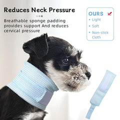 MANON ROSA anti-lick protection collar helps guard wounds during healing.