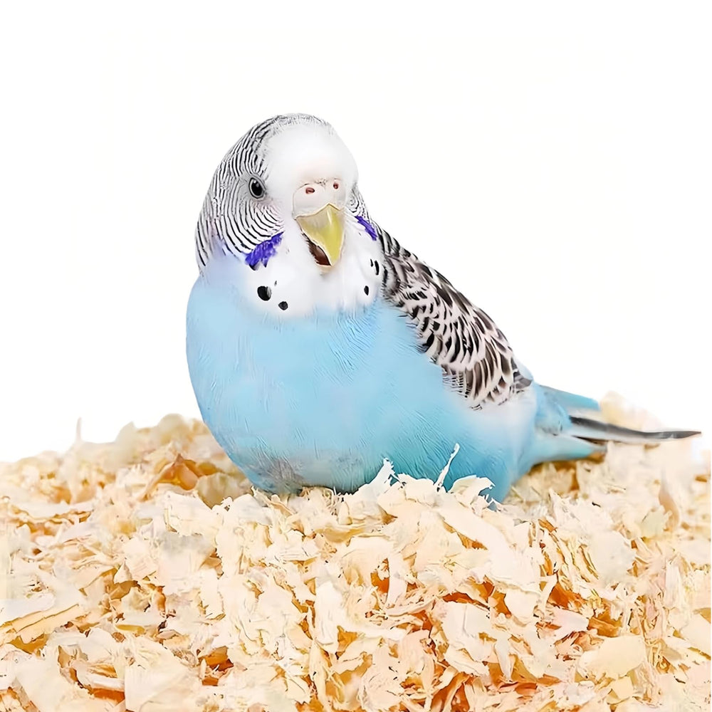 MANON ROSA wood shavings odor-control for birds in cages.