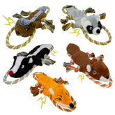 MAOOOOB dog squeaky toy pack for interactive play and mental stimulation