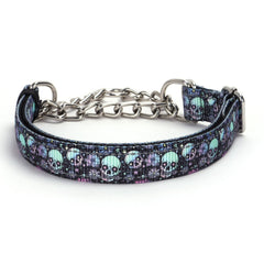 MAOWUWUJOZ Padded Collar for comfort on long daily walks.