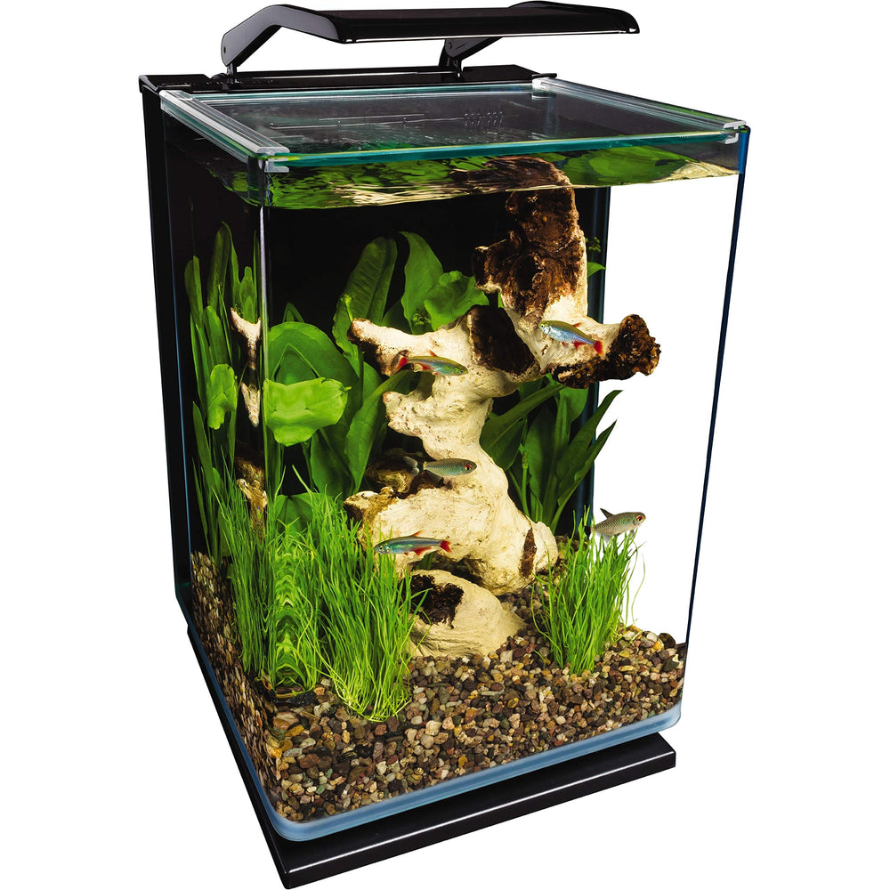 Marineland Portrait Glass LED Aquarium 5-Gallon with clear viewing from multiple angles.