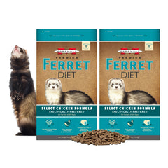 Marshall Select Chicken Ferret Diet kibble in bowl supports daily energy