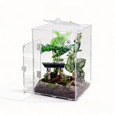 MaryCarrie large jumping spider enclosure front view for clear viewing and easy access.