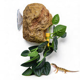 MaryCarrie Reptile Water Dish with Adjustable Drip offers controlled hydration for terrariums.