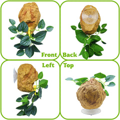 MaryCarrie leak-proof reservoir ensures a clean terrarium and easy maintenance.