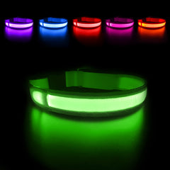 MASBRILL LED dog collar glowing on a dog for high night visibility