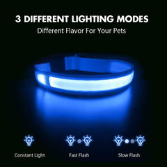 MASBRILL USB-rechargeable collar with long-lasting brightness