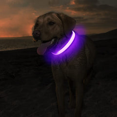 MASBRILL Light Up Dog Collar purple side view improves detection during evening strolls