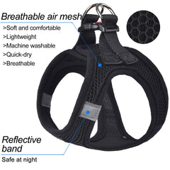 Matilor harness with double D-ring safety and secure buckle for peace of mind
