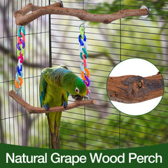 Matutinus bird cage accessory with colorful chains attracts birds during play
