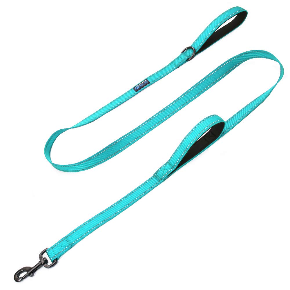 Max and Neo double-handle traffic dog leash in teal, 6 ft length for controlled walks