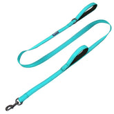 Max and Neo double-handle traffic dog leash in teal, 6 ft length for controlled walks