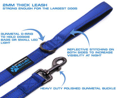 Max and Neo leash neoprene handle close-up for comfortable grip.