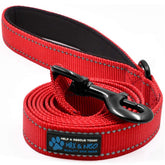 Max and Neo Reflective nylon dog leash in red 6 ft for safer night walks.
