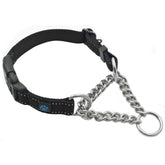Max and Neo stainless steel chain martingale collar closeup showing durable hardware for daily walking