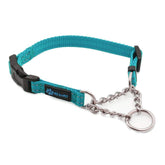 Max and Neo teal stainless steel chain martingale collar for durable daily walks.