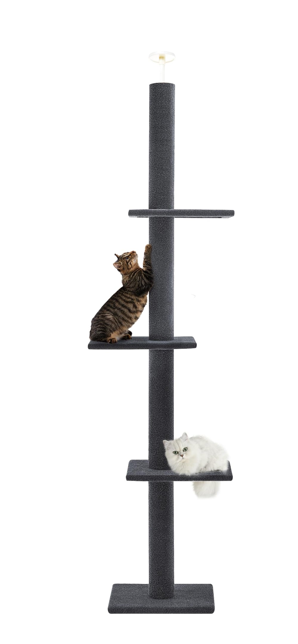 Max & Marlow cat tree extending floor to ceiling for tall indoor cats with a commanding perch