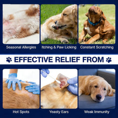 Close-up of MaxHemp 180 Chews reveals a chewy texture dogs enjoy daily.